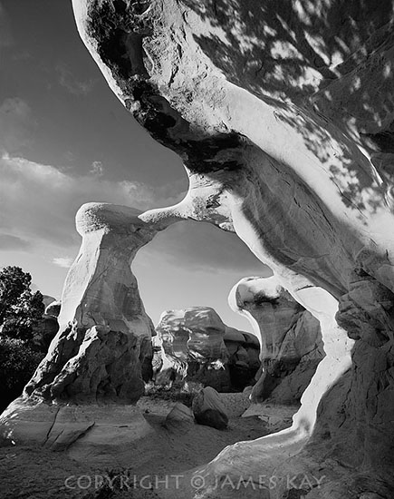 ID# 67-UT-EC-0040-BW