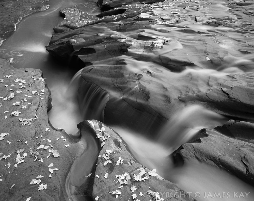 ID# 67-UT-EC-0205-BW