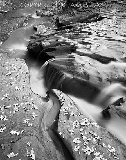 ID# 67-UT-EC-0211-BW