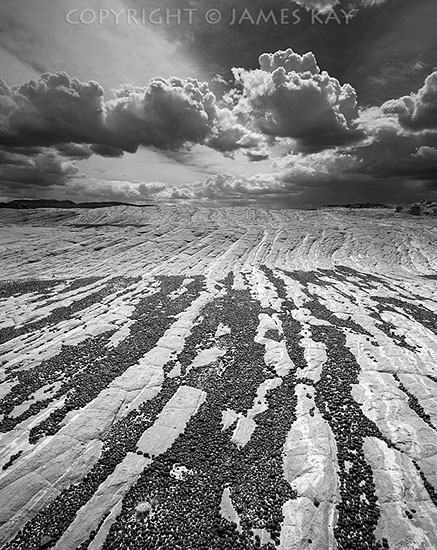 ID# 67-UT-EC-0305-BW