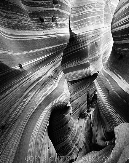 ID# 67-UT-EC-0459A-BW