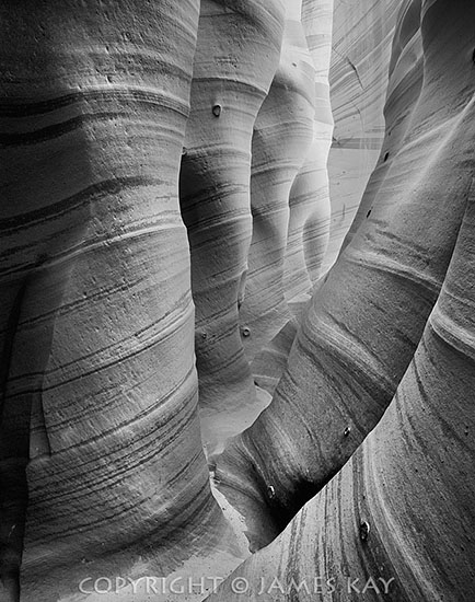 ID# 67-UT-EC-0495-BW