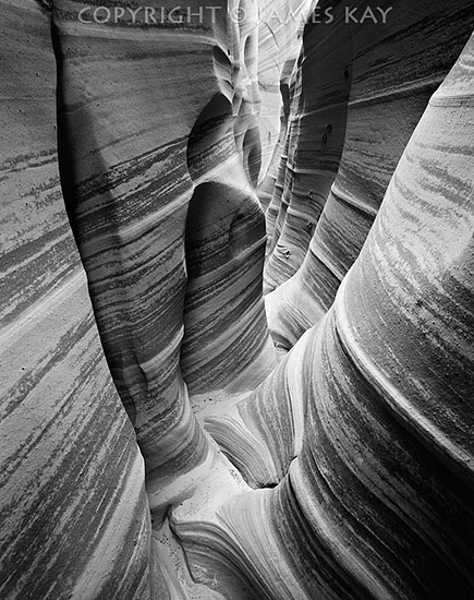 ID# 67-UT-EC-0504-BW