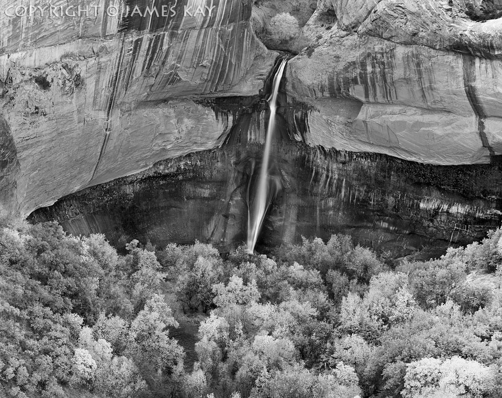 ID# 67-UT-EC-0585-BW