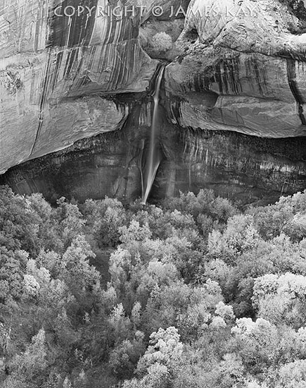 ID# 67-UT-EC-0588-BW