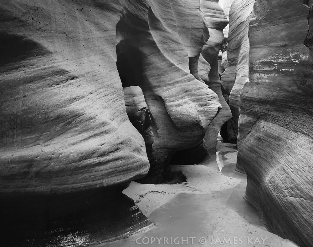 ID# 67-UT-LPD-FA-0001-BW