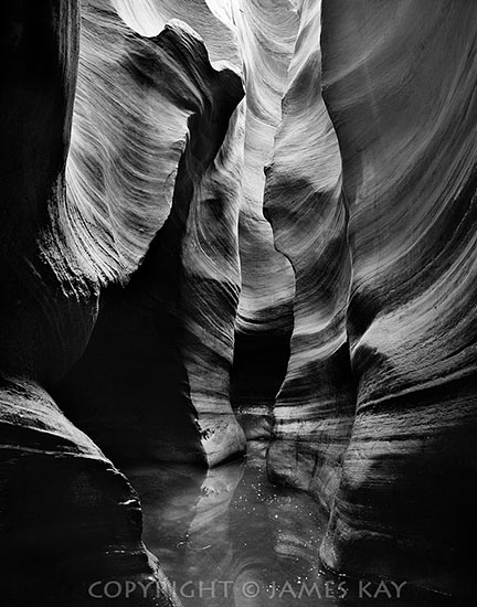 ID# 67-UT-LPD-FA-0010-BW