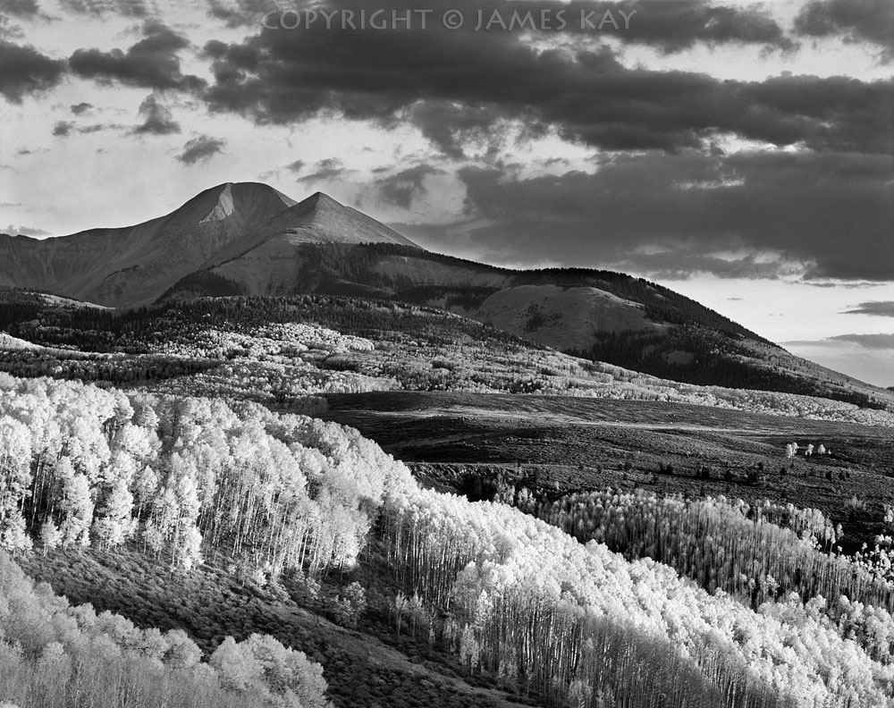 ID# 67-UT-LS-0012-BW