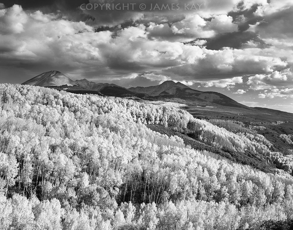 ID# 67-UT-LS-0015-BW