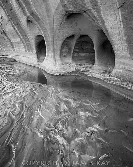 ID# 67-UT-PR-0062-BW