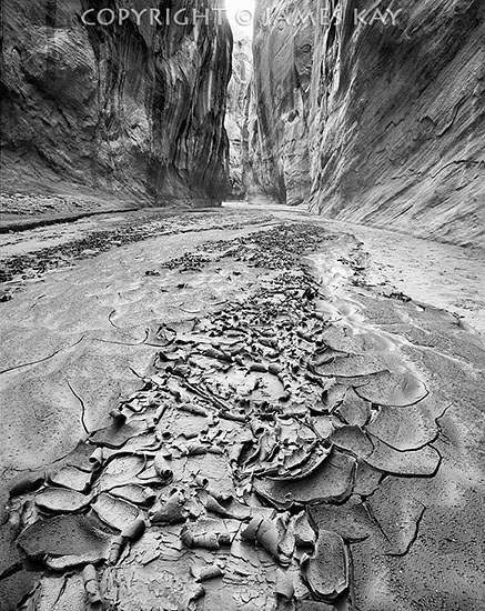 ID# 67-UT-PR-0066-BW