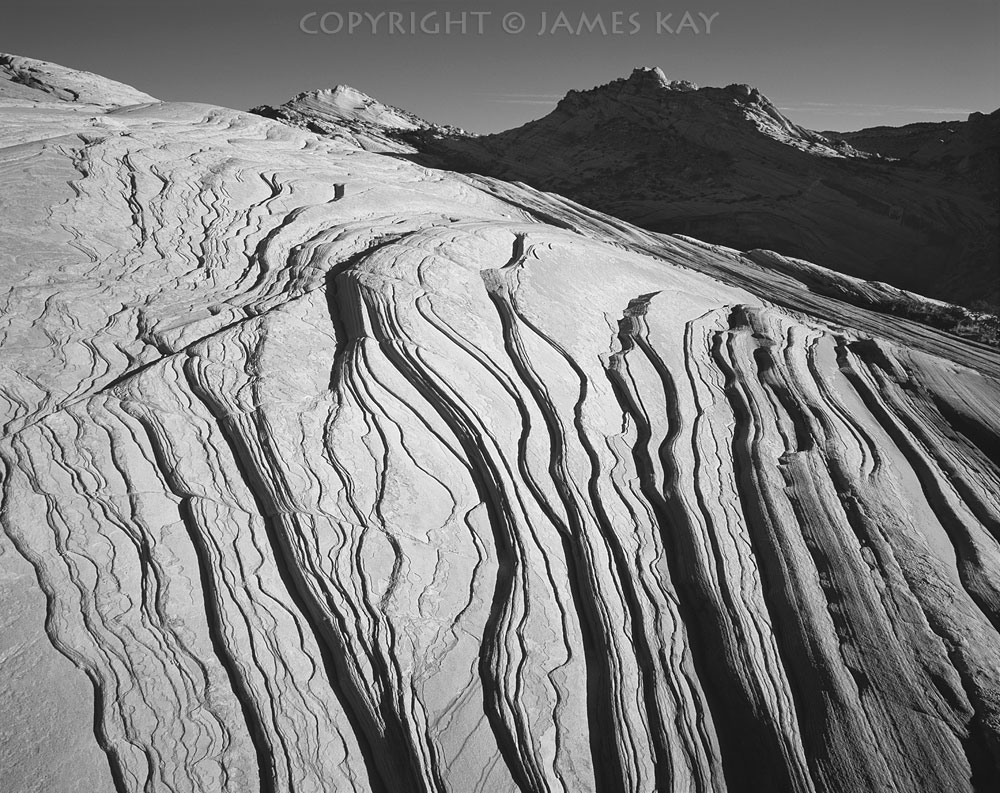 ID# 67-UT-PR-0176-BW