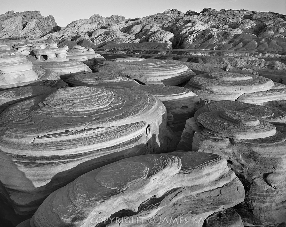 ID# 67-UT-SR-0099-BW