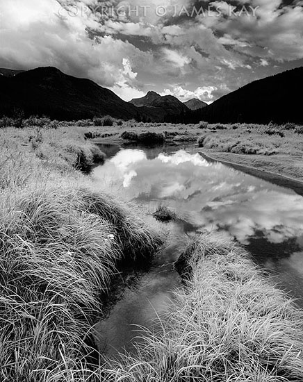 ID# 67-UT-UN-0044-BW