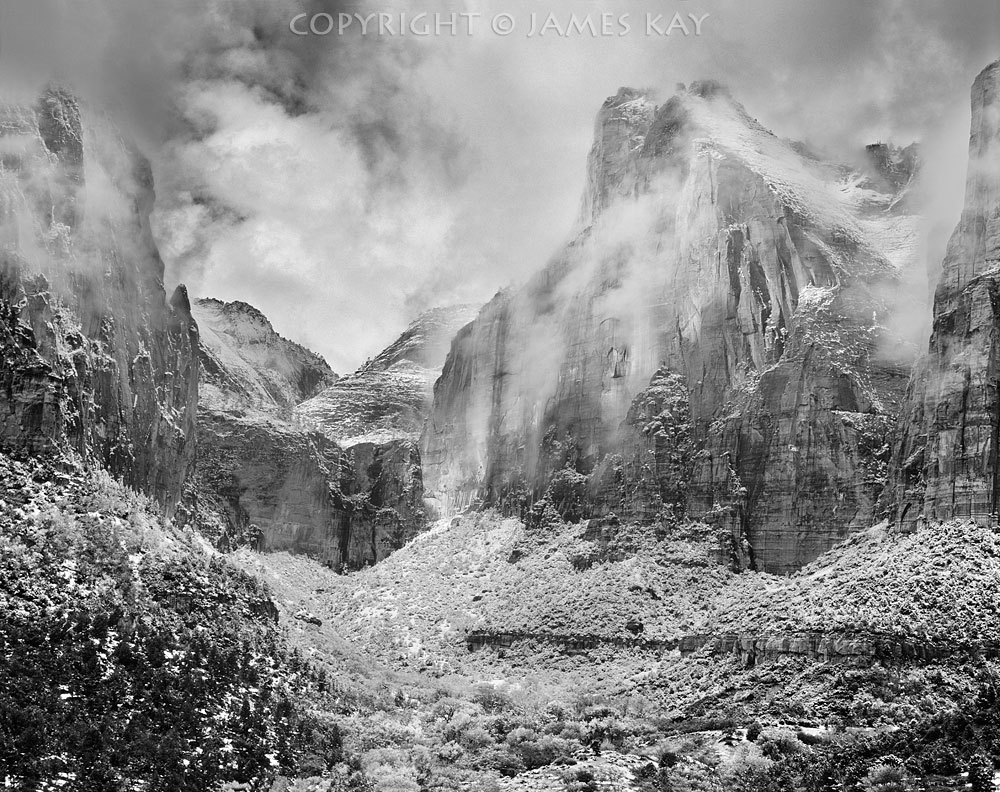 ID# 67-UT-ZN-0128-BW