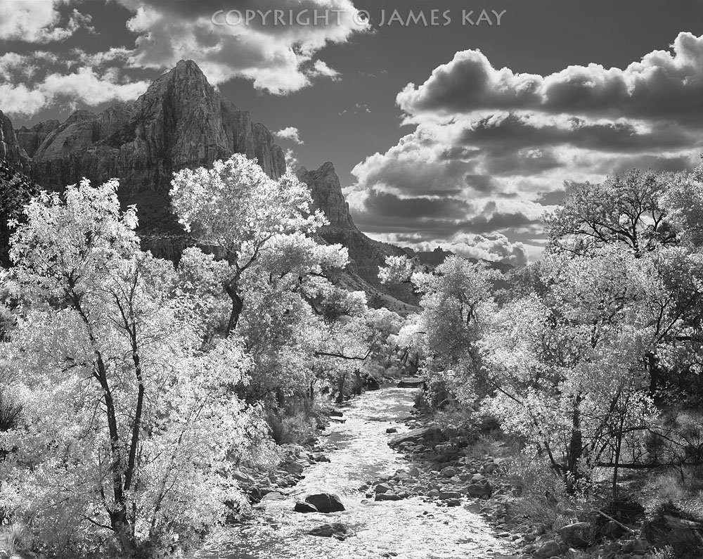 ID# 67-UT-ZN-0137-BW