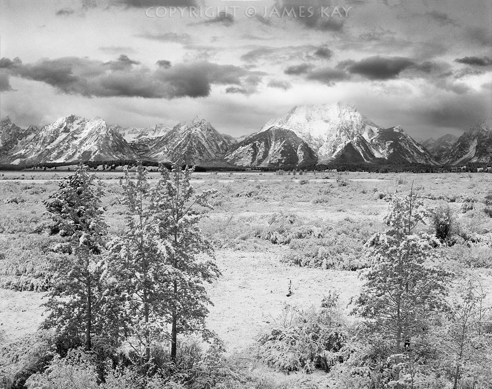 ID# 67-WY-TE-0162-BW