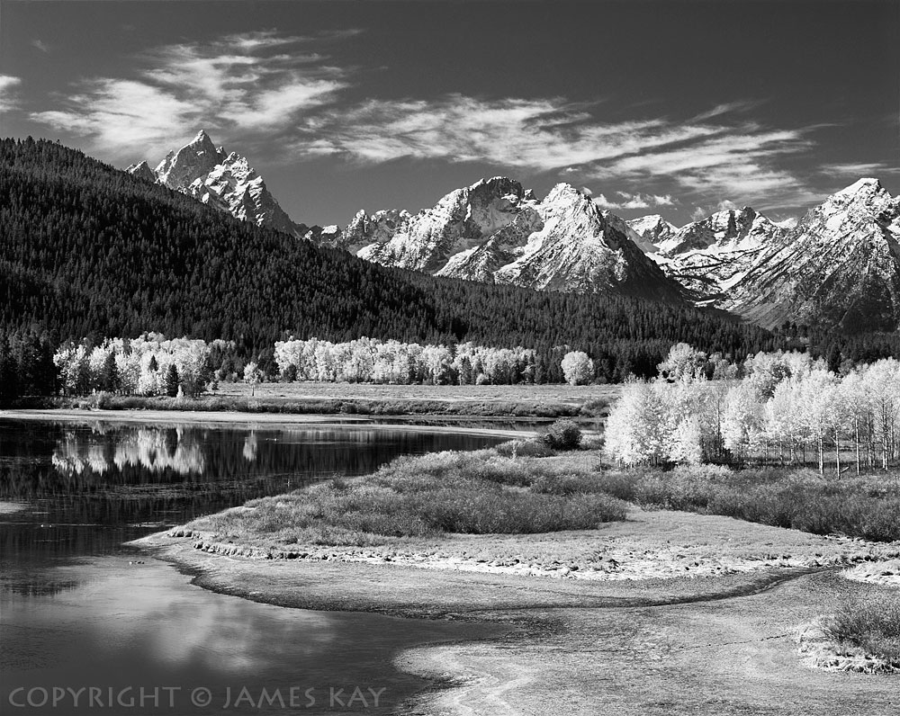 ID# 67-WY-TE-0263-BW