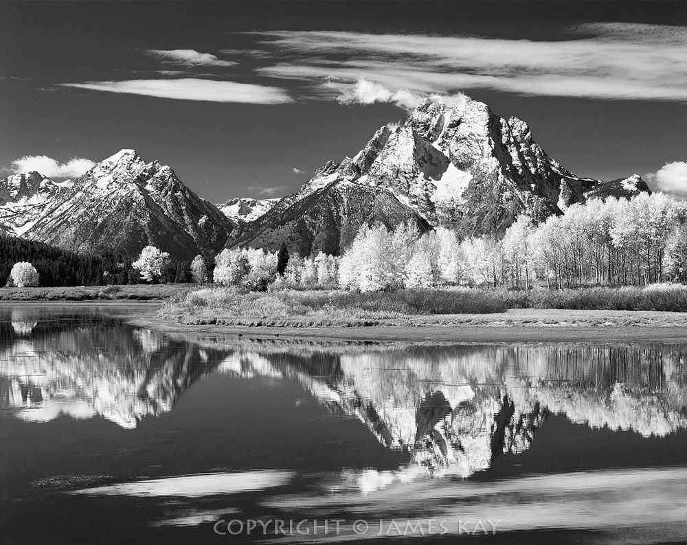 ID# 67-WY-TE-0270-BW